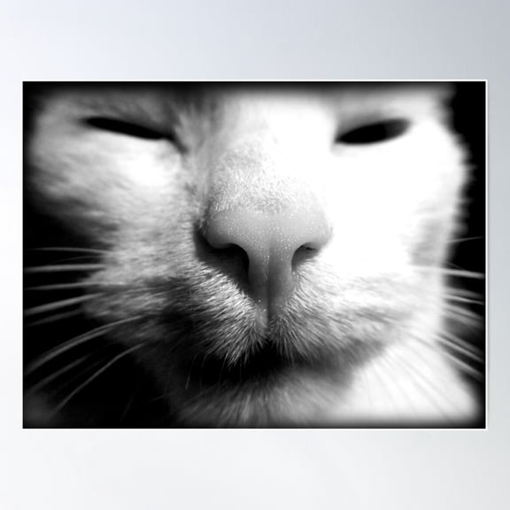 Cat Nose Poster Wall Art Modern Wall Decor For Living Room Bedroom Art Home Decor Office Wall Art