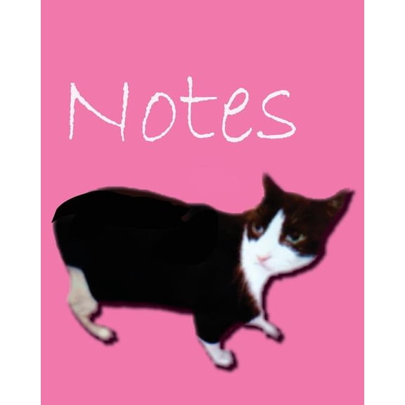 Cat Notes (Paperback)