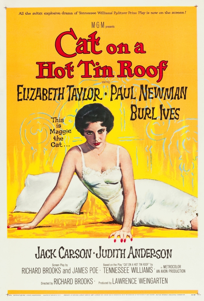 Cat On A Hot Tin Roof Canvas Art - (11 x 17)