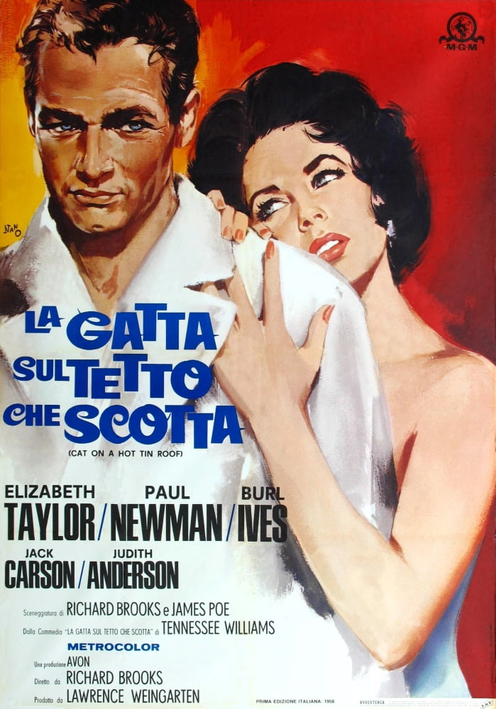 Cat On A Hot Tin Roof Canvas Art - (11 x 17)