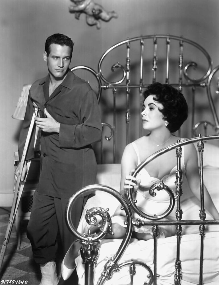 Cat On A Hot Tin Roof Canvas Art - (16 x 20)
