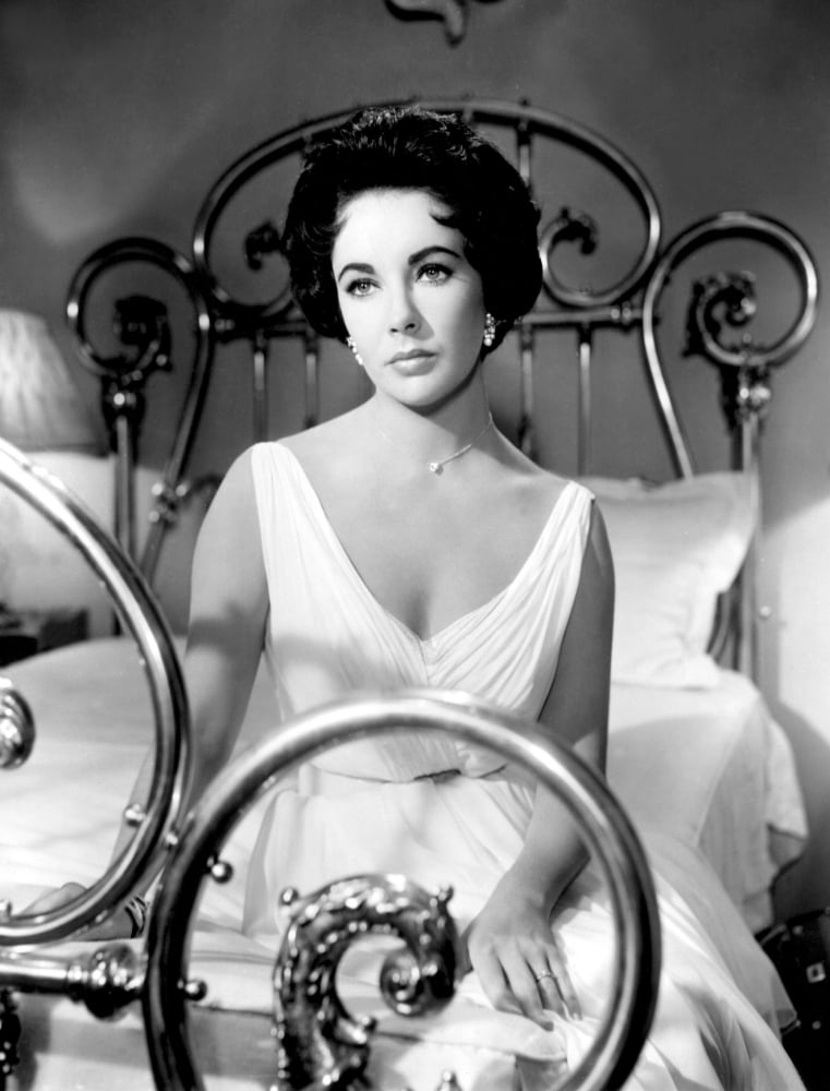 Cat On A Hot Tin Roof Canvas Art - (16 x 20)