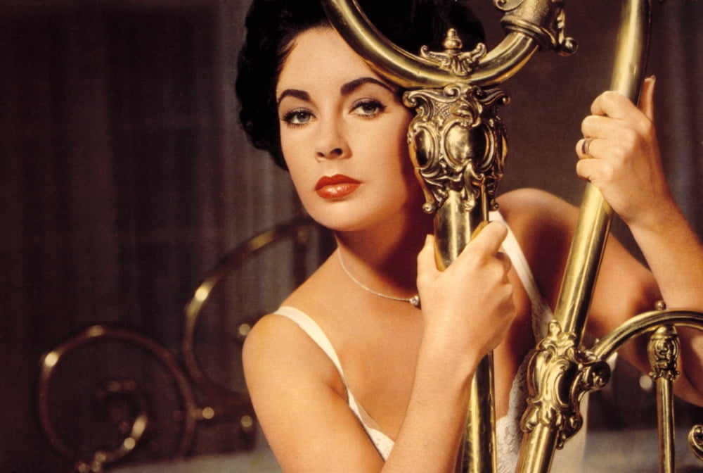 Cat On A Hot Tin Roof Canvas Art - (20 x 16)