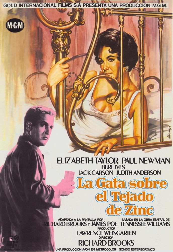 Cat On A Hot Tin Roof Canvas Art - (24 x 36)