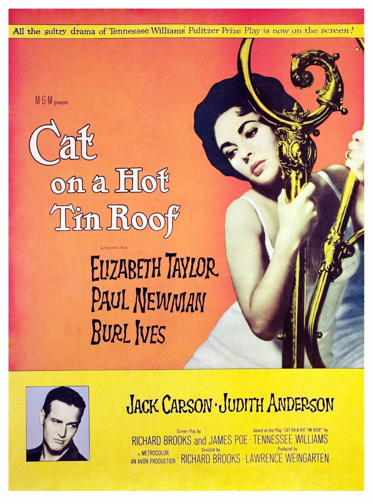 Cat On A Hot Tin Roof Canvas Art - (24 x 36)