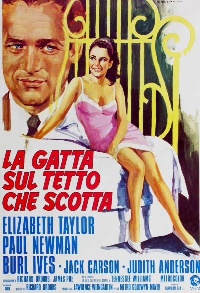 Cat On A Hot Tin Roof Canvas Art - (24 x 36)