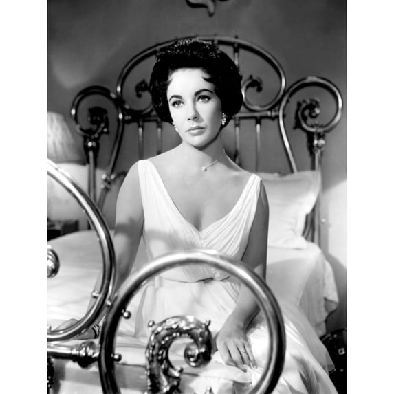 Cat On A Hot Tin Roof Photo Print (16 x 20)