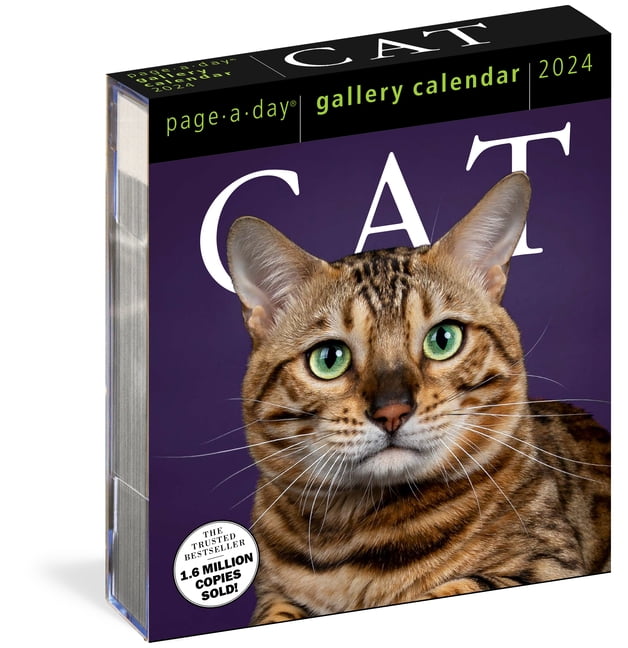 Cat PageADay Gallery Calendar 2024 A Delightful Gallery of Cats for