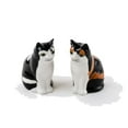 thumbnail image 1 of Tabletop Cat Salt And Pepper Shaker Ceramic Kitten Dining Table Cs0123, 1 of 3