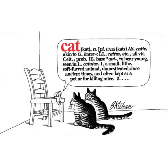 Cat - Paperback