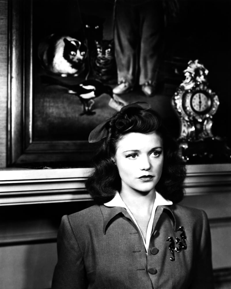 Cat People Canvas Art - (16 x 20)