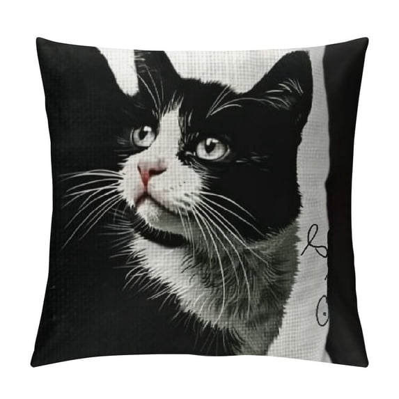 Cat Pillow Case Funny Gift for Cat Lovers Cat Mom Gifts Crazy Cat Lady Gifts for Women Cat Decor, It's Not Cat Hair It's Kitty Glitter,Pillow Covers for Sofa Couch Bed Home Decor