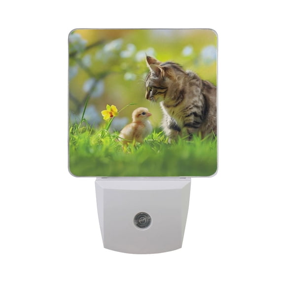 Cat Playing with Chick on Lawn LED Night Light with Smart Sensor Plug Into Wall Dusk to Dawn 2 packs