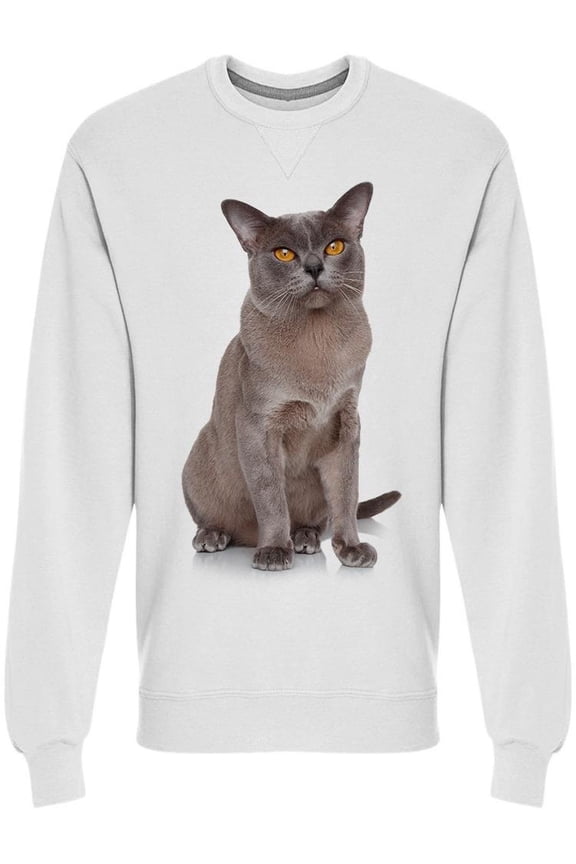Cat Portrait Looking At Front Sweatshirt Men -Image by Shutterstock Men Sweatshirt, Male Medium