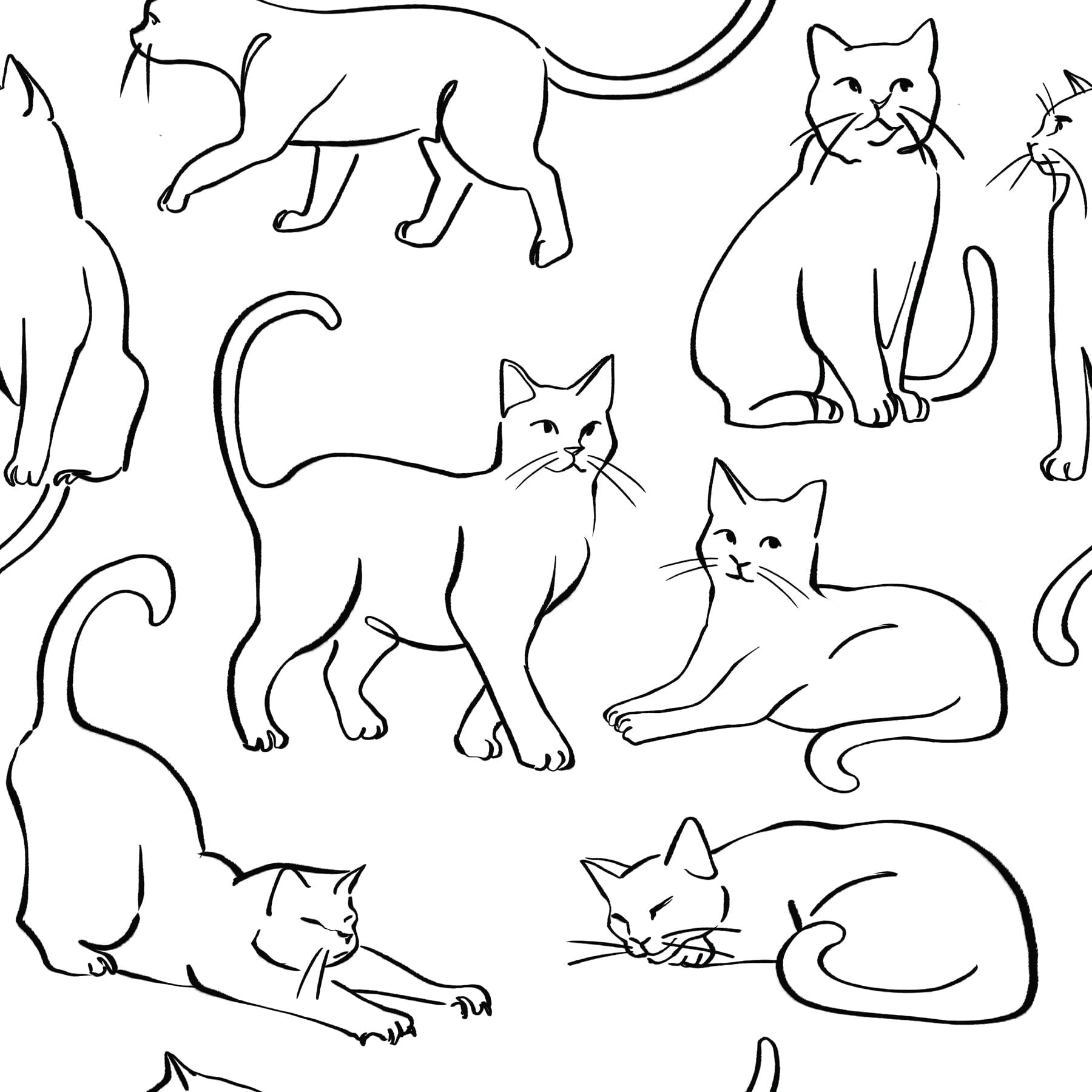 RoomMates Cat Poses Black and White Peel and Stick Wallpaper, 1 Roll