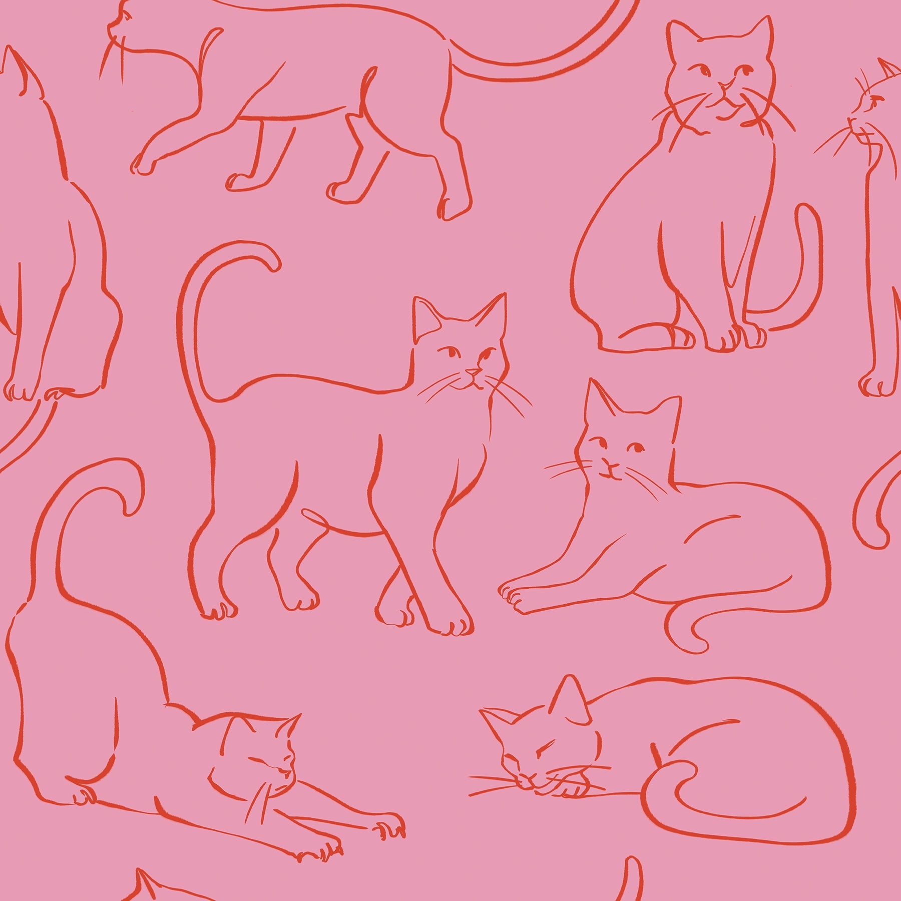 Cat Poses Peel & Stick Wallpaper