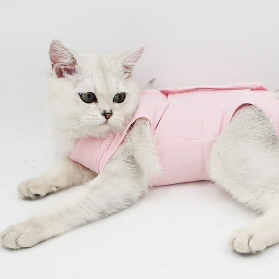 Cat Post Surgery Recovery Clothes Anti Scratch Protective Suit for Female Cats After Spaying Nursing Care