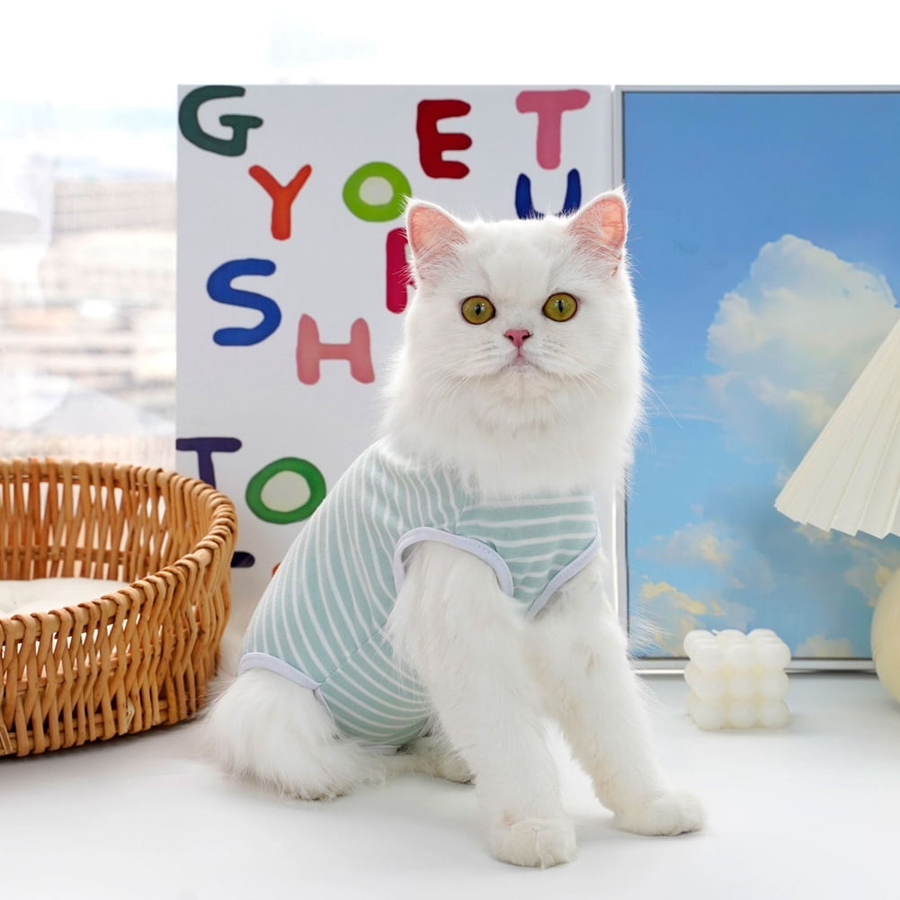 Gallery Detail: Cat Professional Recovery Suit For Abdominal Wounds And Skin Diseases