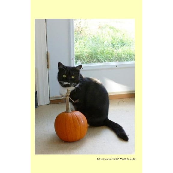 Cats of Ralphie's Retreat: Cat with pumpkin 2014 Weekly Calendar: A week by week calendar with a cover photo of Bethany a black and white cat and an orange pumpkin from Ralphie's Retreat -A pawsitive