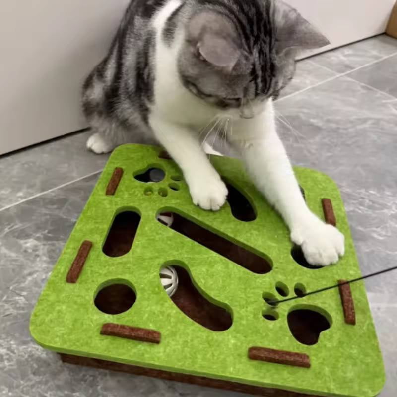 Picture of Cat Puzzle Toys,Interactive Cat Puzzle Box Toy,Interactive Cat Toy ...