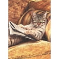 thumbnail image 1 of Cat Reading Newspaper Funny Just For Fun Card, 1 of 1