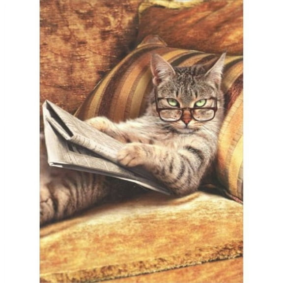 Cat Reading Newspaper Funny Just For Fun Card