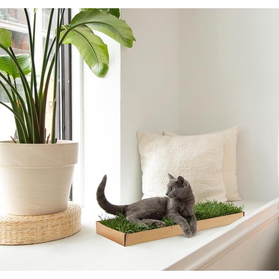 Cat Real Grass Window Bed Perch, Real Grass Cat Window Lounge Bed, Indoor Real Grass Window Bed Perch for Cat, Window Perch for Small and Large Cat, Cat Window Seat Bed for Windowsill and Bedside