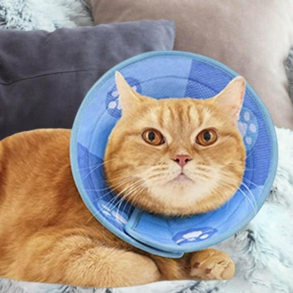 Cat Recovery Collar Breathable Anti Scratching Anti Bite for Dogs M
