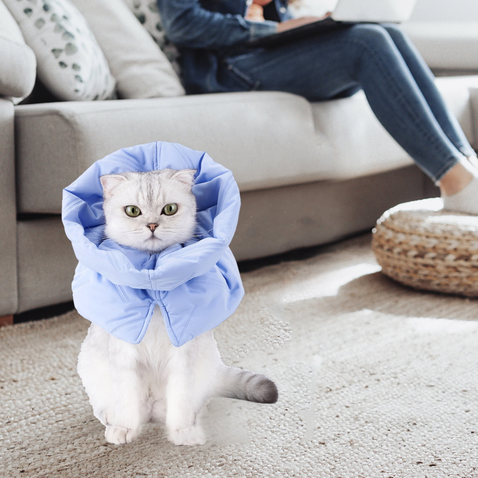 Cat Recovery Collar Soft Adjustable Cat Alternative Lightweight Fasteners Collars For Cats