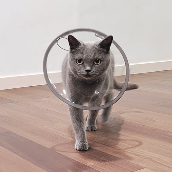 Cat Recovery Collar, Soft Elizabethan Collar For Cats, Adjustable Comfortable Pet Recovery Cone, M1 Size Cat Elizabethan Collar, Transparent Pet Protective Collar