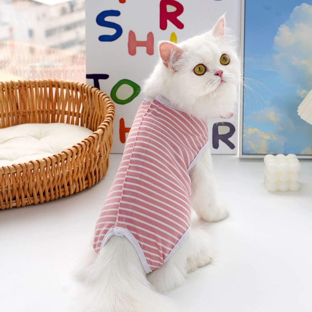 E Collar Cat Shirt Instead Of Cone E Collar For Dogs After Surgery