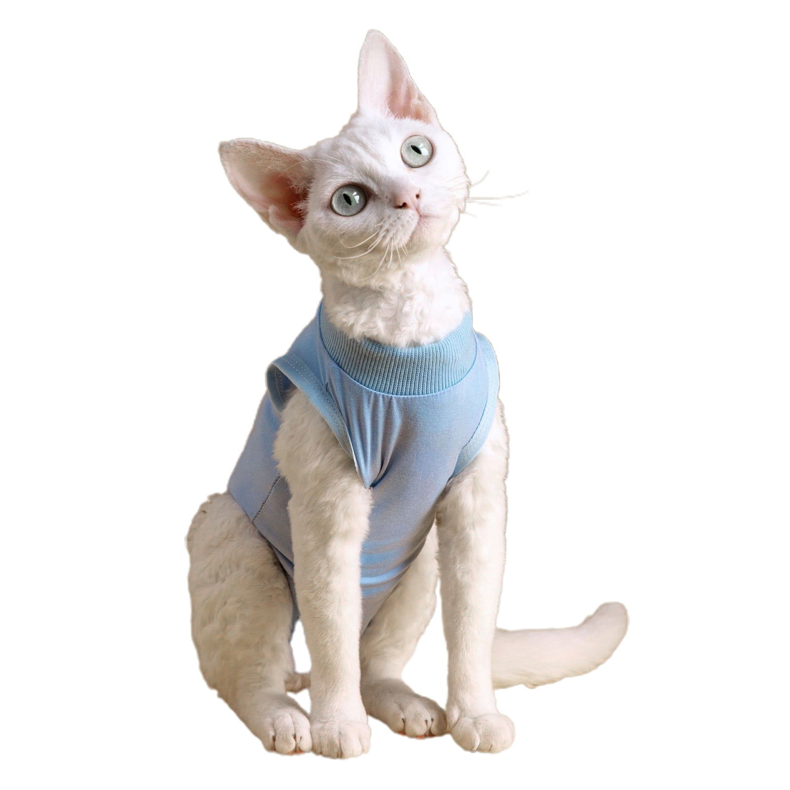 Cat Recovery Suit, Fastener Tape Adjustable Kitten Recovery Suit, E-Collar  Alternative for Cats and Dogs Abdominal Skin Anti Licking Pajama Suit,  Solid Pattern - Walmart.com, image size:1601x1601