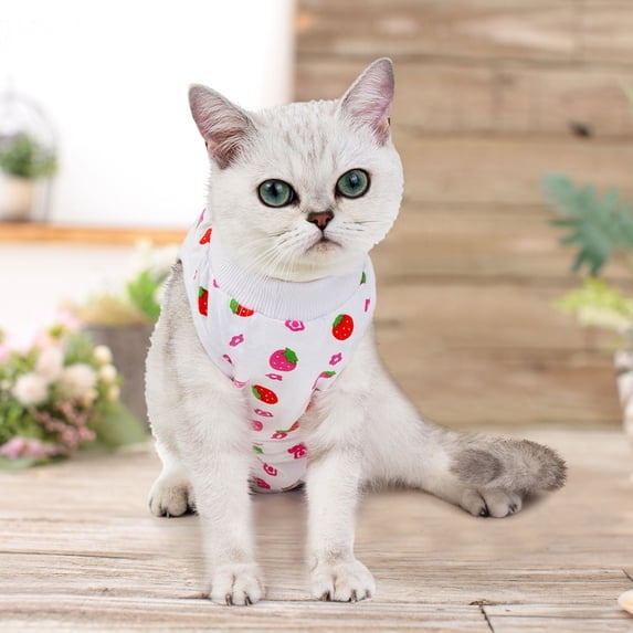 Cat Recovery Suit - Kitten Onesie for Cats After Surgery, Cone of Shame Alternative Spay Suit for Female Cat, Post-Surgery or Skin Diseases Protectionï¼Hot Pink - L