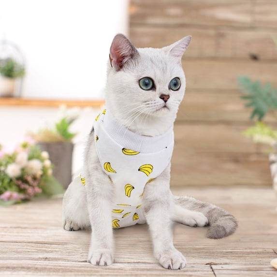 Cat Recovery Suit - Kitten Onesie for Cats After Surgery, Cone of Shame Alternative Spay Suit for Female Cat, Post-Surgery or Skin Diseases Protectionï¼Yellow - XL
