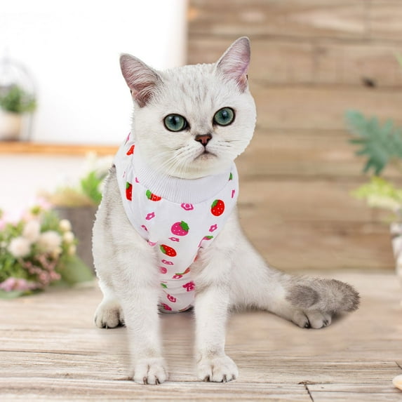 Cat Recovery Suit Onesie After Pet Spayed Neutered Shirt for Female Male Dogs Cats Postoperative Snuggle Vest for Abdominal Wounds Weaning Anti Licking Vest, Hot Pink L