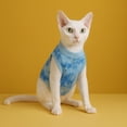 thumbnail image 1 of Cat Recovery Suit for Surgery, Soft Post Surgery Pet Onesie with Adjustable Closure, Anti Lick Protective Suit for Female Cats After Spay and Weaning Care, 1 of 4