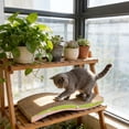 thumbnail image 1 of Cat Scratch Pad, Waved Cardboard Cat Scratcher, Scratching Board for Small Medium Size Cats, Kittens, Protects Furniture & Couch,A, 1 of 6