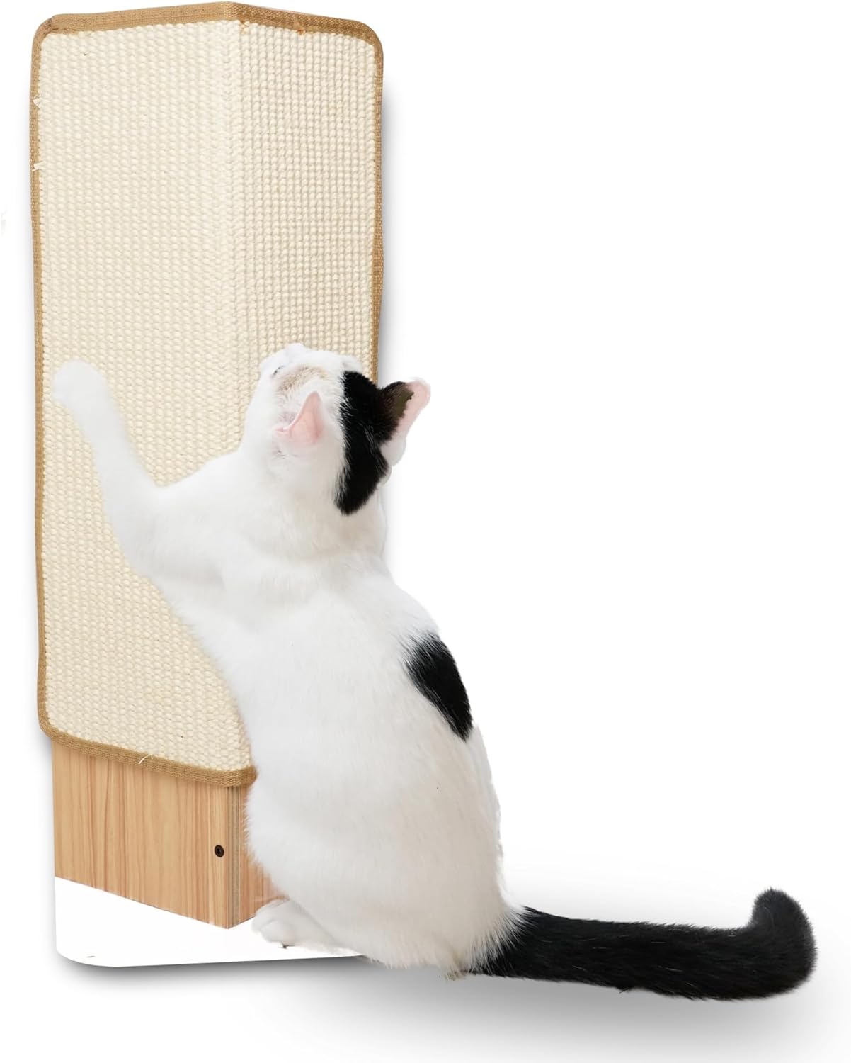 Corner scratching post 2025