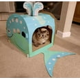 Cat Scratcher Play House Boots & Barkley Whale Scratch House 18"x
