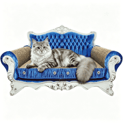 Mashelly Cat Sofa Bed, Sofa Shaped Scratching Couch,Thick Scratching Cardboard, Lounge Bed for Indoor Rest&Play, Sofa Scratcher Pad 22 "L X 12.6" W X 12.6 "H