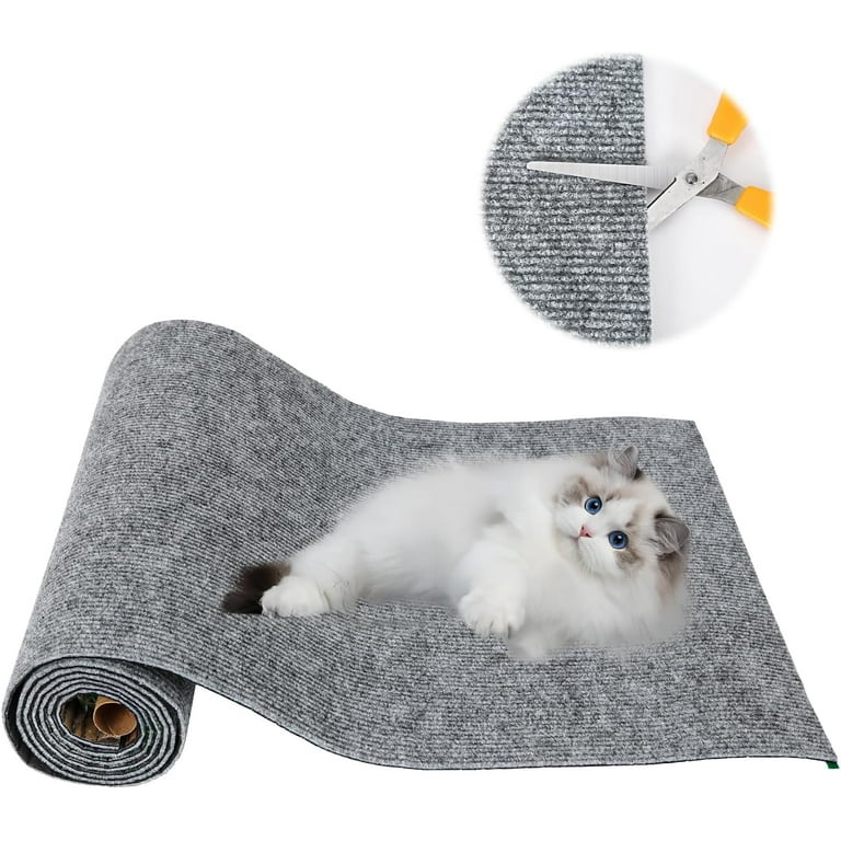 Cat scratcher carpet hotsell