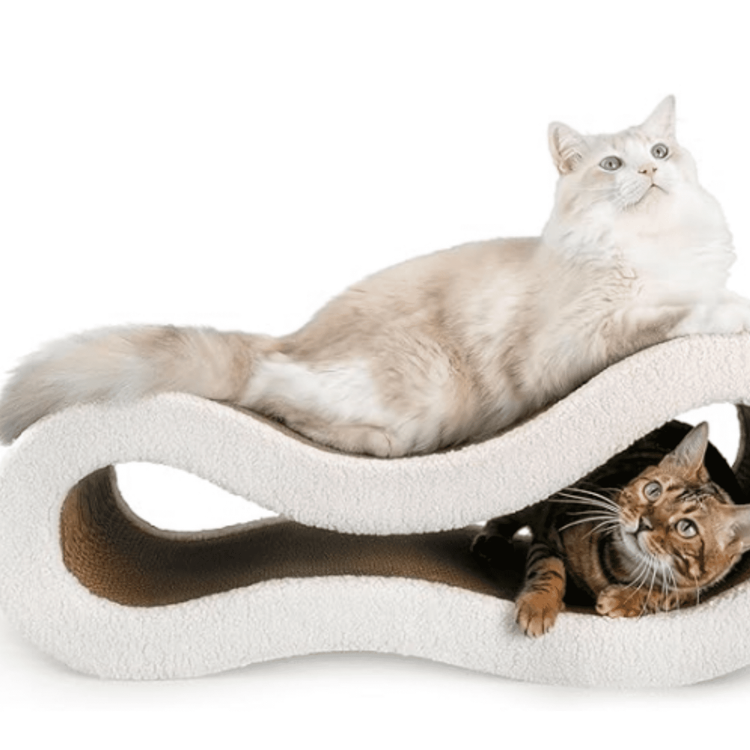 Cat Scratching Pad, Reversible Scratch Board with Natural Curves for ...