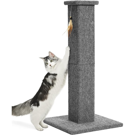 Cat Scratching Post, 32 Inch Carpet Covered Cat Scratcher with Kitten Toy, Tall Scratching Post for Indoor Cats Adults and Kittens, Grey