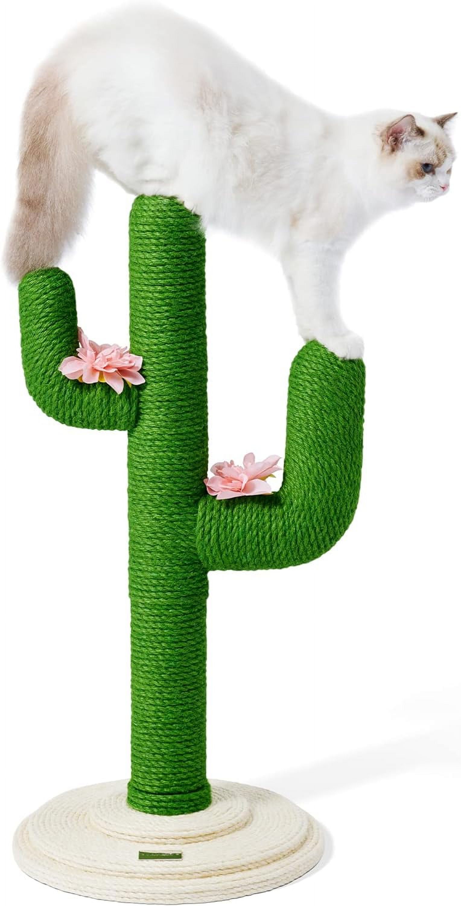 Cat Scratching Post For Indoor Cats 31.5Inches Cactus Cat Scratch