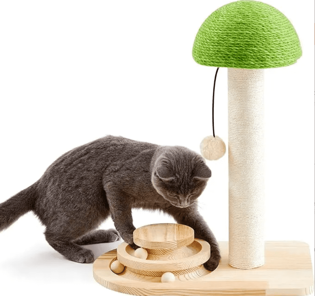 Cat Scratching Post, Mushroom Cat Scratcher with Sisal Ropes, Interactive Track Ball Toy, 2-in-1 Wood Scratch cattree
