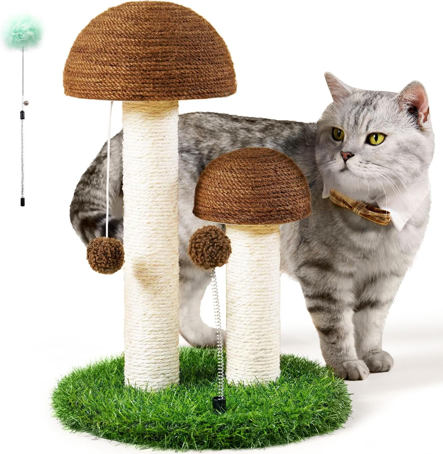 cat behavior how to get cats to use scratching post