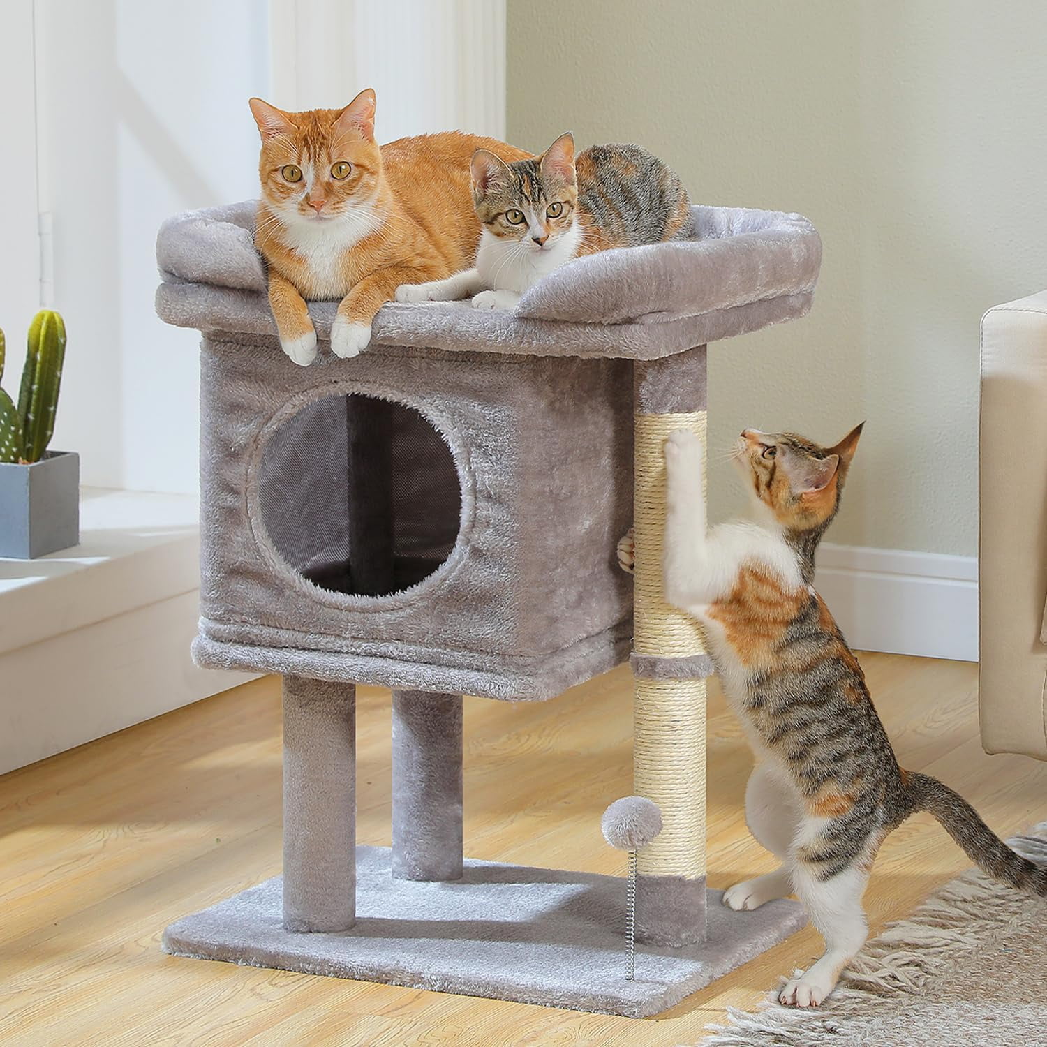 Cat Scratching Post Tower with Removable Bed, Play Ball, and Large Top Scratcher Pad for Kittens and Cats