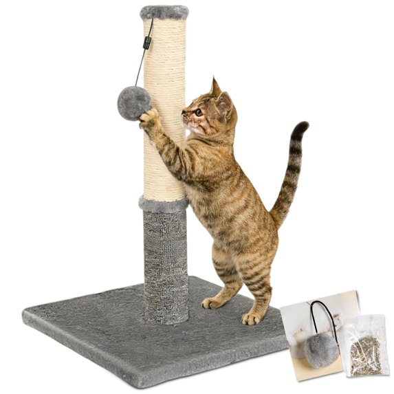 Cat Scratching Post