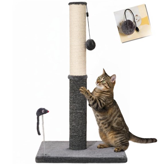 Cat Scratching Post