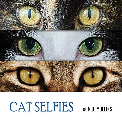 Pre-Owned Cat Selfies Paperback